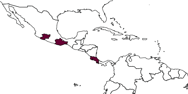map of Perditorulus falcispinus     Hansson, 1996